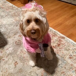 Meet your Posher, Jen